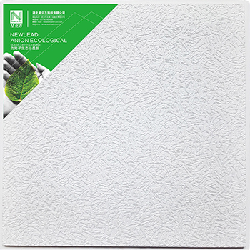 �ƶ����ʡ�(�й�)Ψһ�ٷ���վ